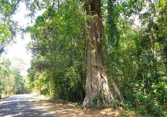 đi cắm trại thác mai - camping thác mai