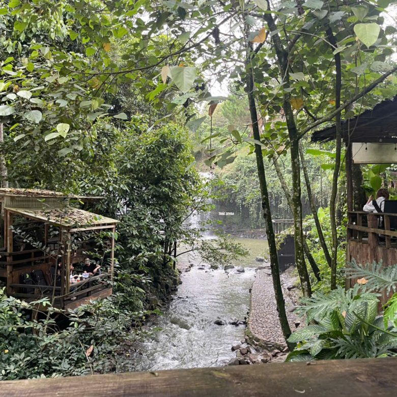 Review chuyến khám phá Bảo Lộc 1 ngày – Từ uống cà phê tại Zenda Glamping đến BBQ ngắm trọn thành phố trên núi Đại Bình