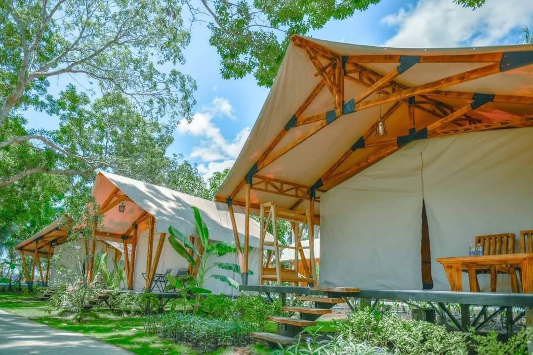 asian island glamping - khu glamping quận 9